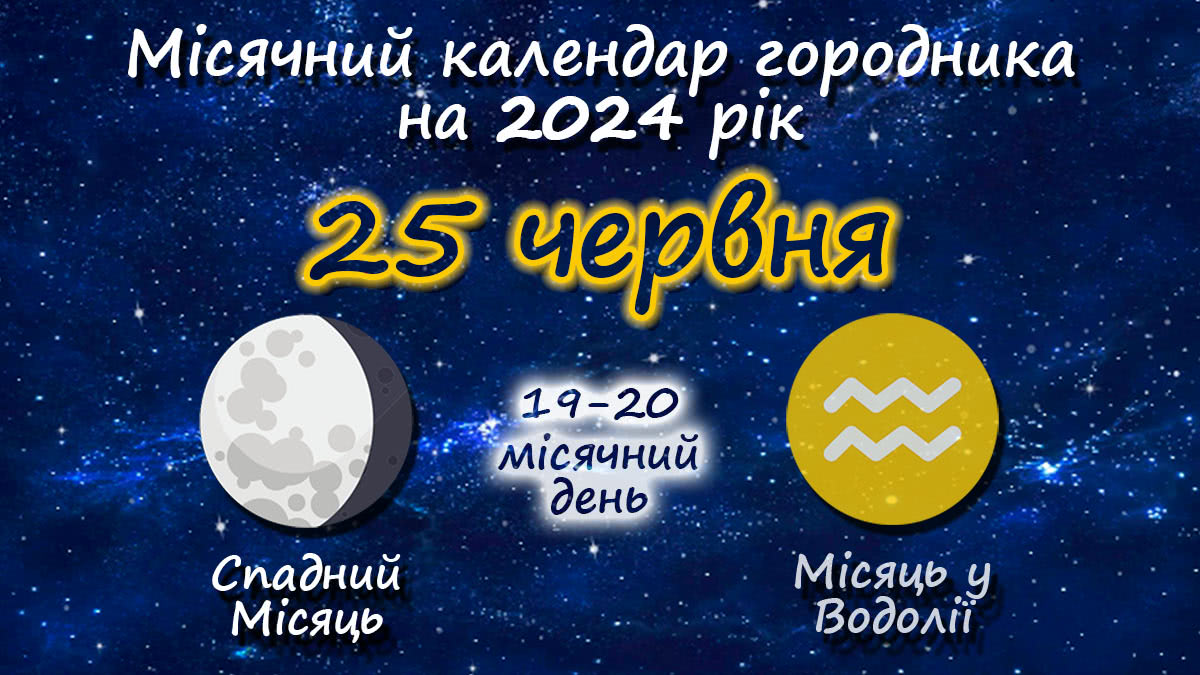Місячний календар садівника-городника на 25 червня 2024 року