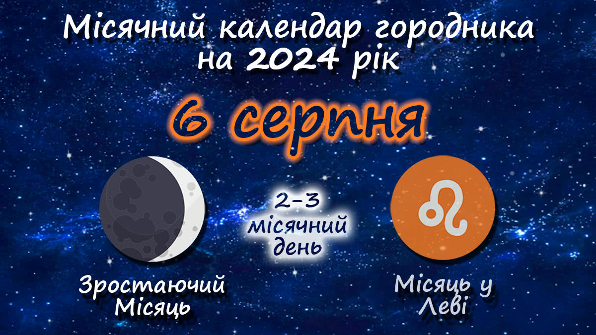 Місячний календар садівника-городника на 6 серпня 2024 року