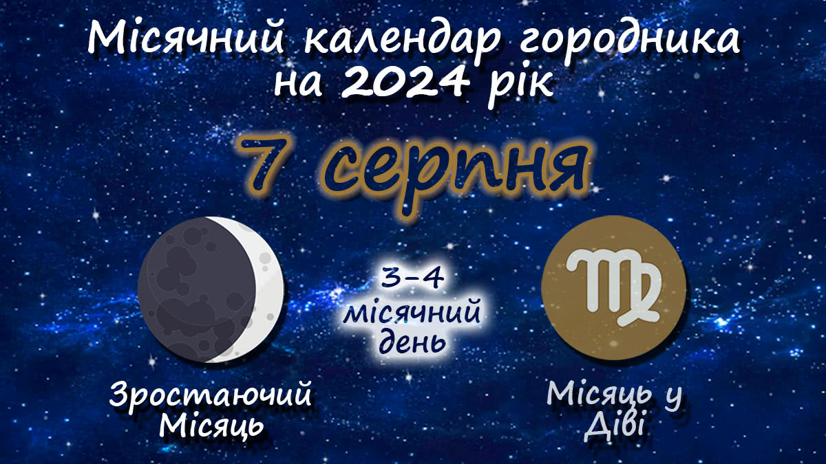 Місячний календар садівника-городника на 7 серпня 2024 року