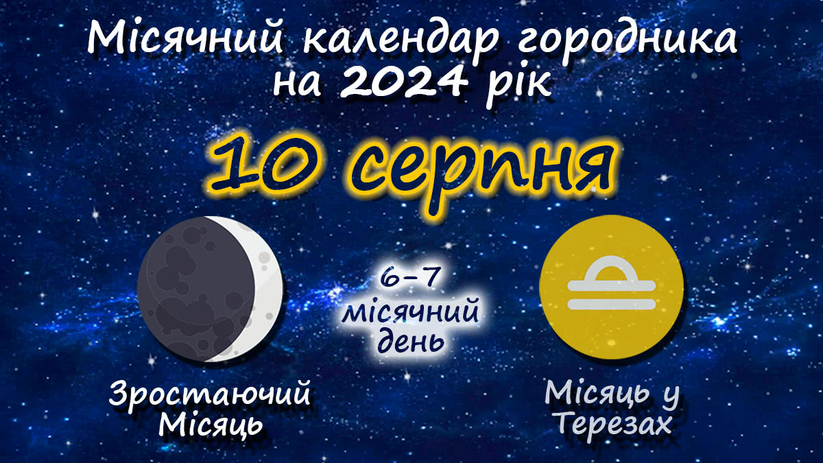 Місячний календар садівника-городника на 10 серпня 2024 року