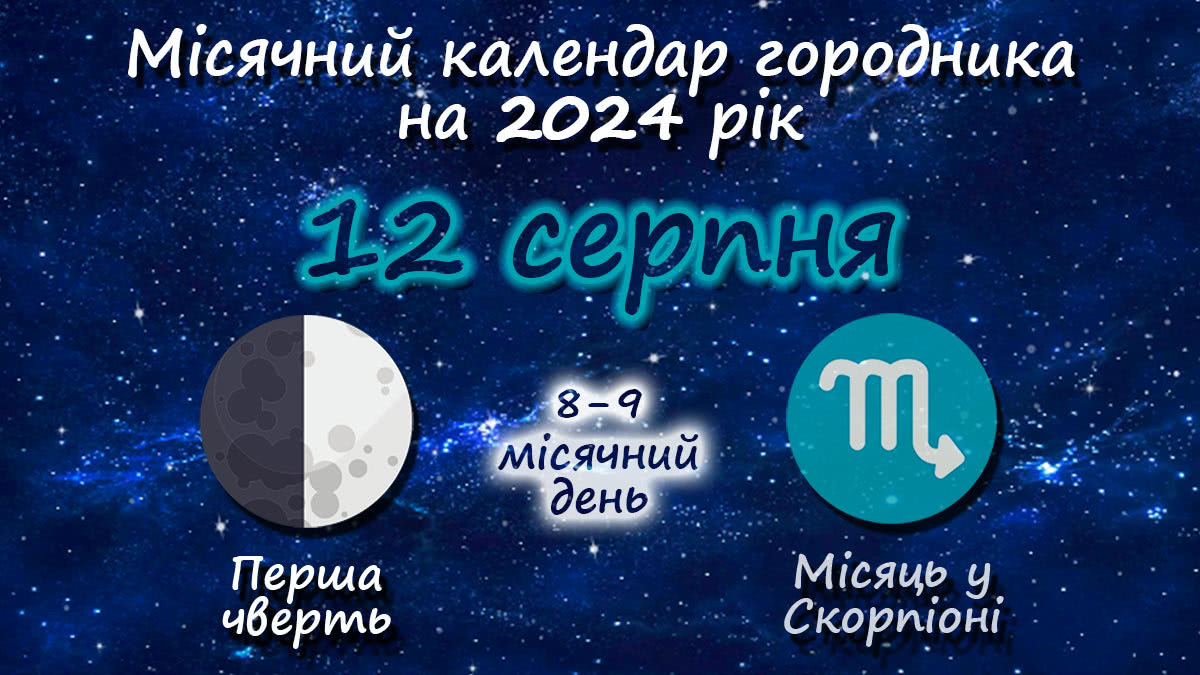 Місячний календар садівника-городника на 12 серпня 2024 року