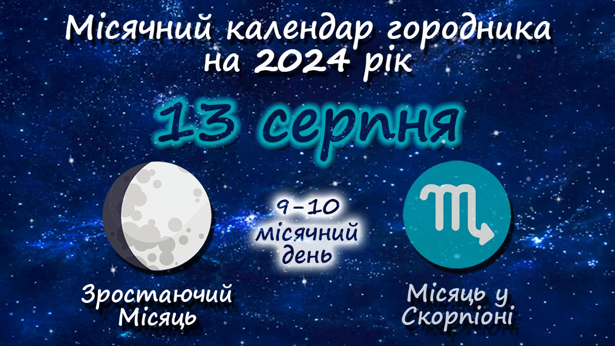 Місячний календар садівника-городника на 13 серпня 2024 року