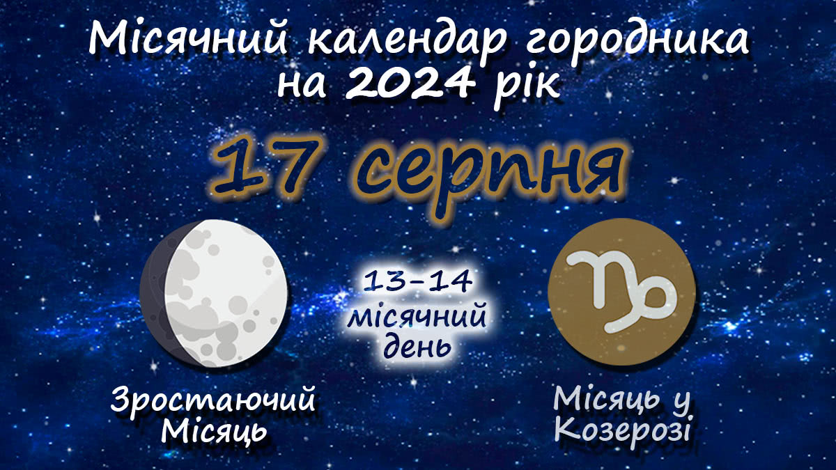 Місячний календар садівника-городника на 17 серпня 2024 року