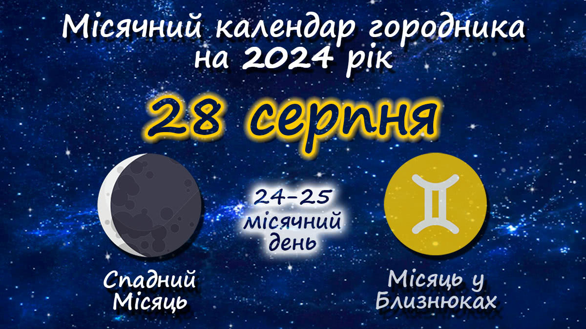 Місячний календар садівника-городника на 28 серпня 2024 року