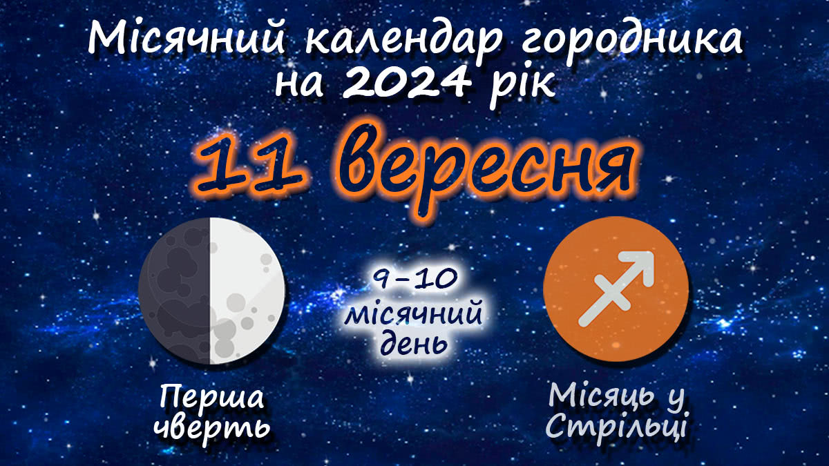 Місячний календар садівника-городника на 11 вересня 2024 року