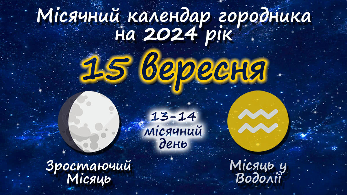 Місячний календар садівника-городника на 15 вересня 2024 року