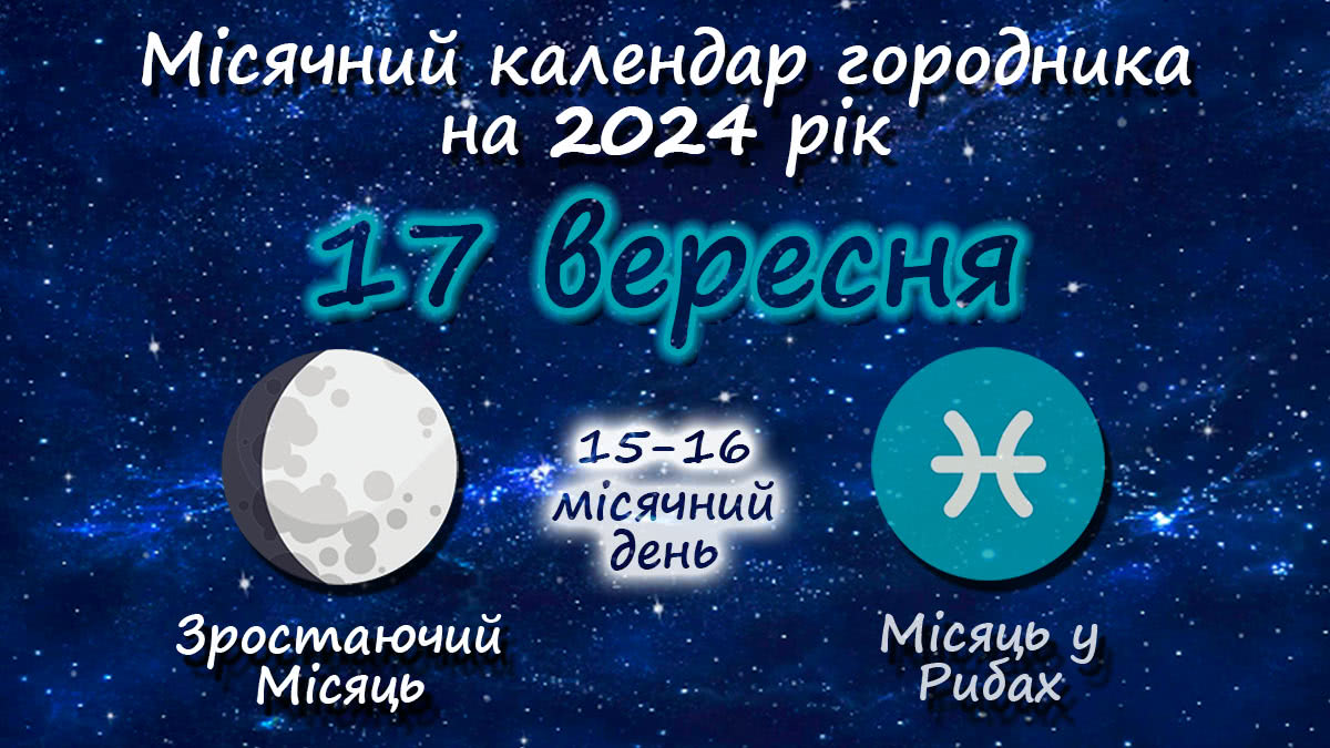 Місячний календар садівника-городника на 17 вересня 2024 року
