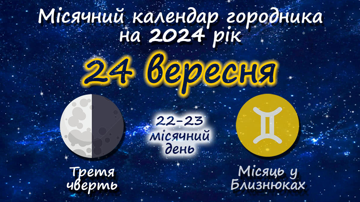 Місячний календар садівника-городника на 24 вересня 2024 року