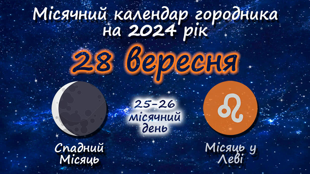Місячний календар садівника-городника на 28 вересня 2024 року