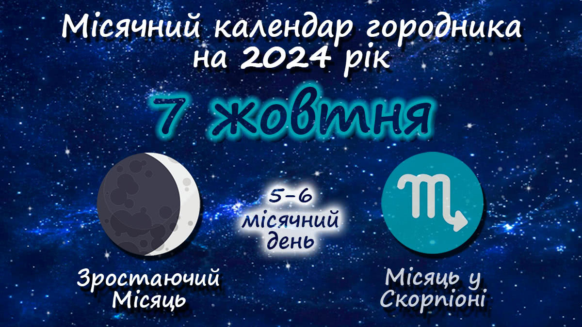 Місячний календар садівника-городника на 7 жовтня 2024 року
