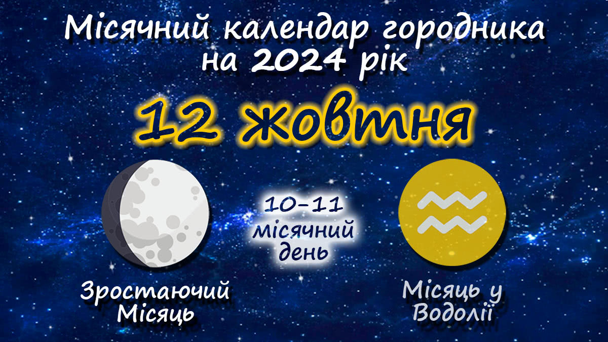 Місячний календар садівника-городника на 12 жовтня 2024 року
