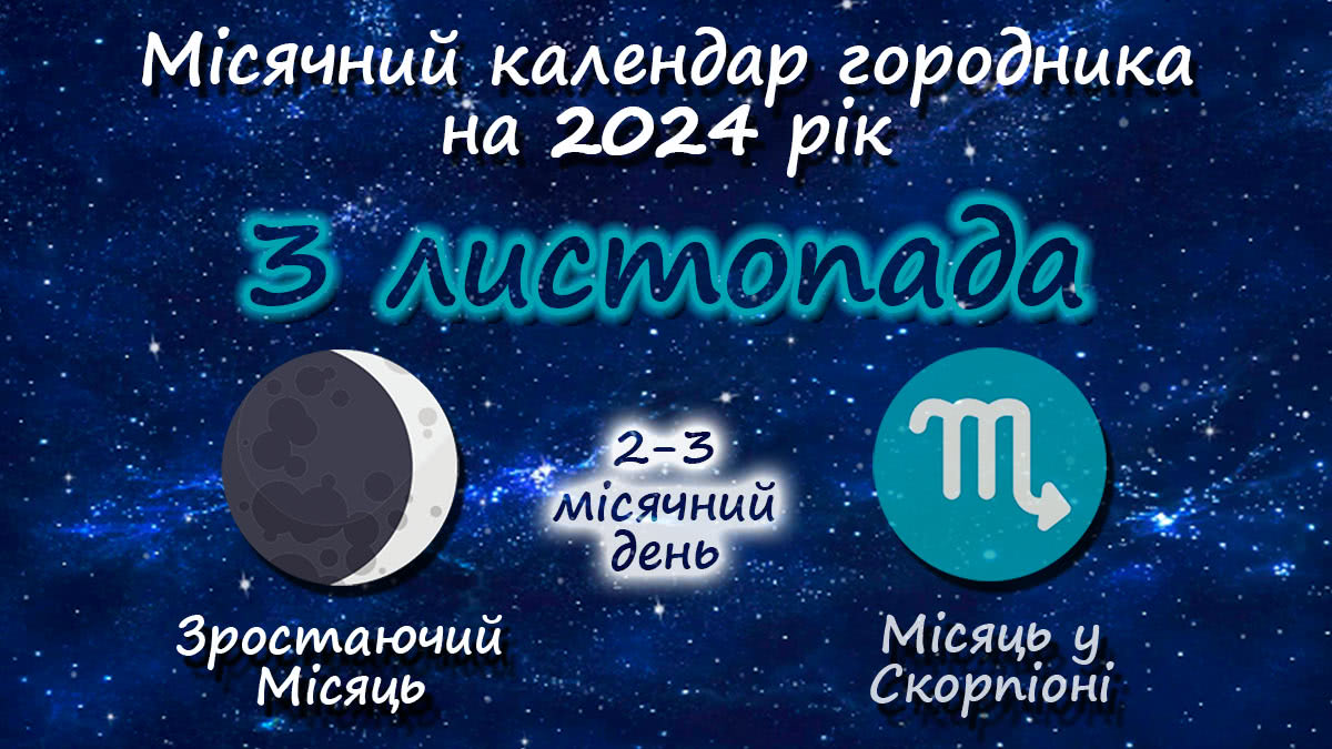Місячний календар садівника-городника на 3 листопада 2024 року