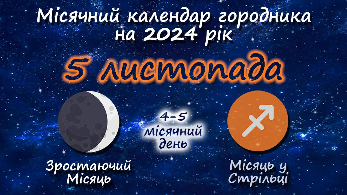 Місячний календар садівника-городника на 5 листопада 2024 року