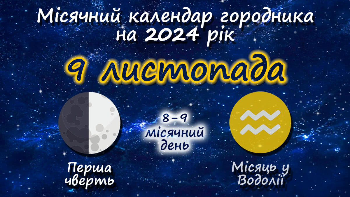 Місячний календар садівника-городника на 9 листопада 2024 року