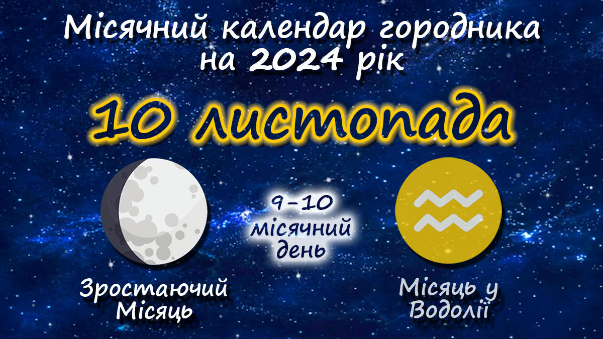 Місячний календар садівника-городника на 10 листопада 2024 року