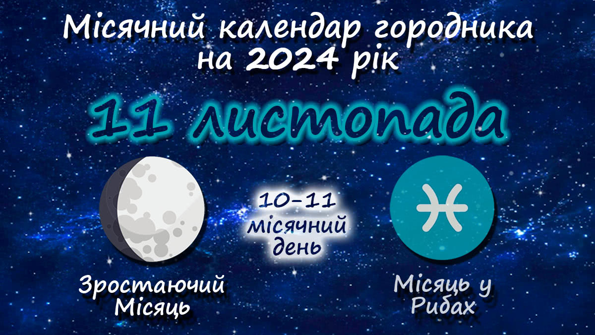 Місячний календар садівника-городника на 11 листопада 2024 року