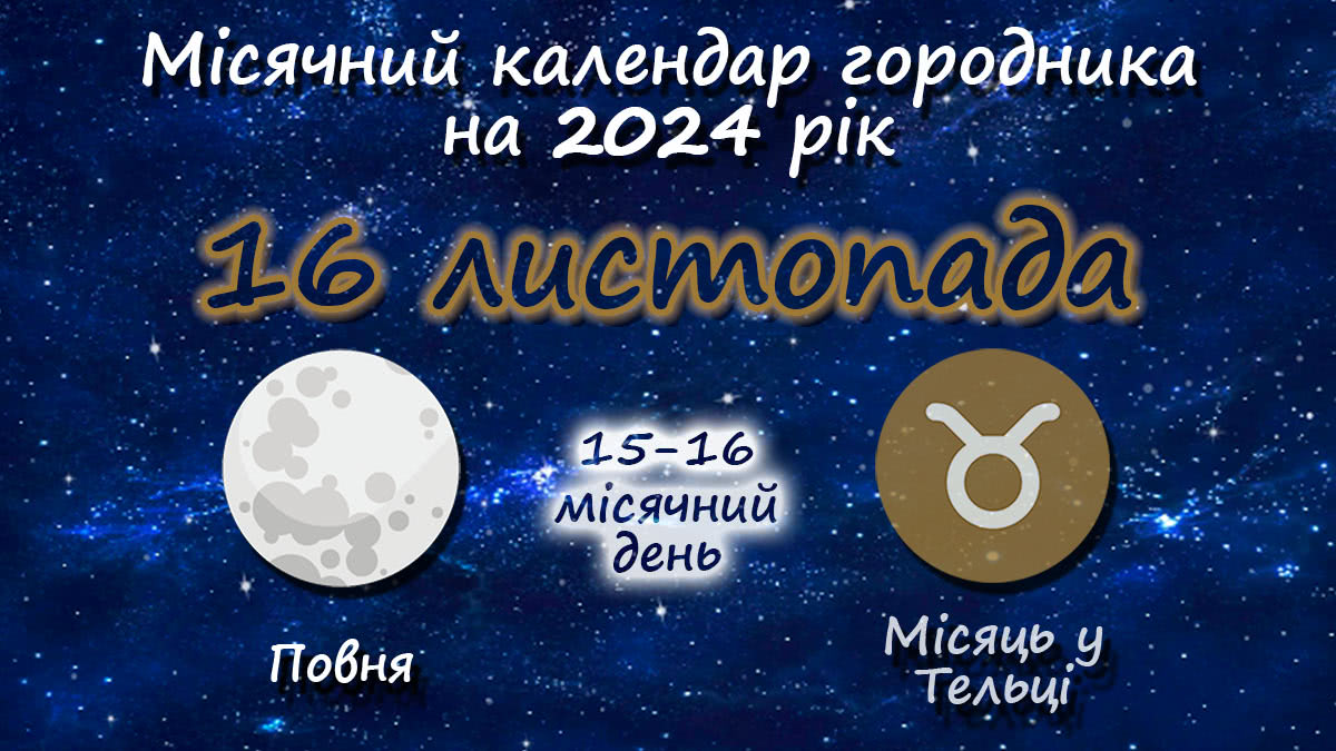 Місячний календар садівника-городника на 16 листопада 2024 року