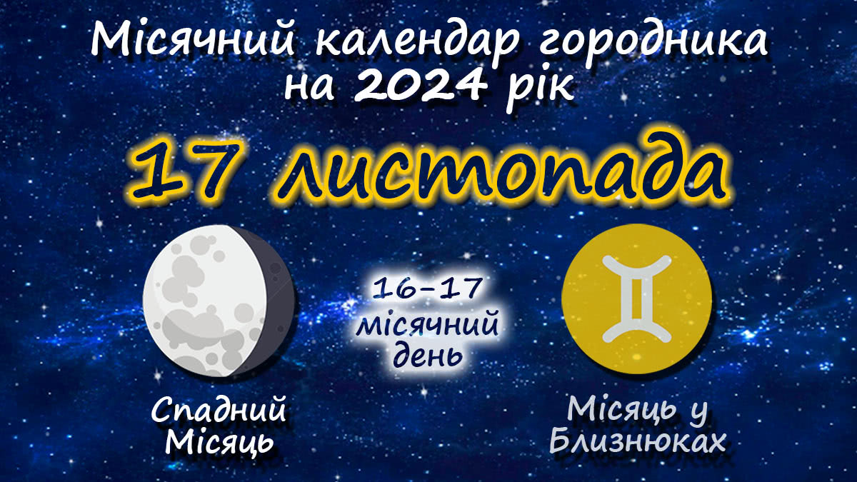 Місячний календар садівника-городника на 17 листопада 2024 року