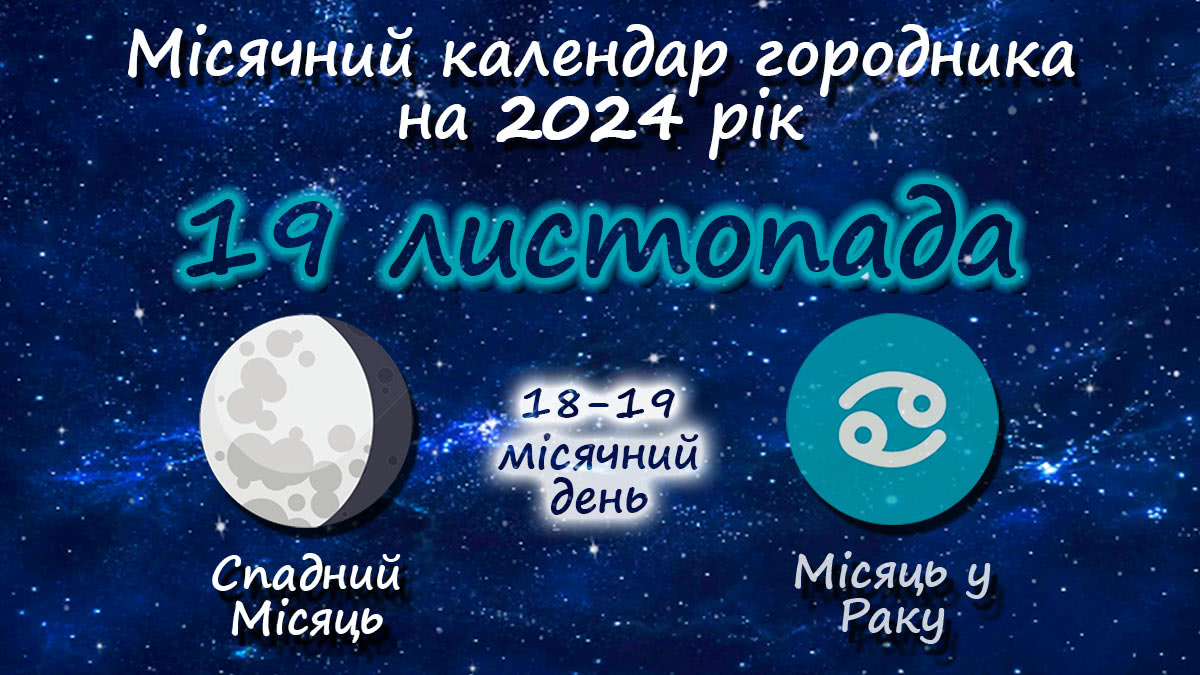 Місячний календар садівника-городника на 19 листопада 2024 року