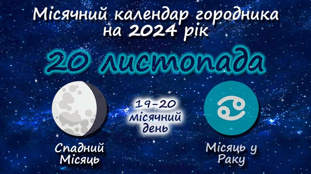 Місячний календар садівника-городника на 20 листопада 2024 року