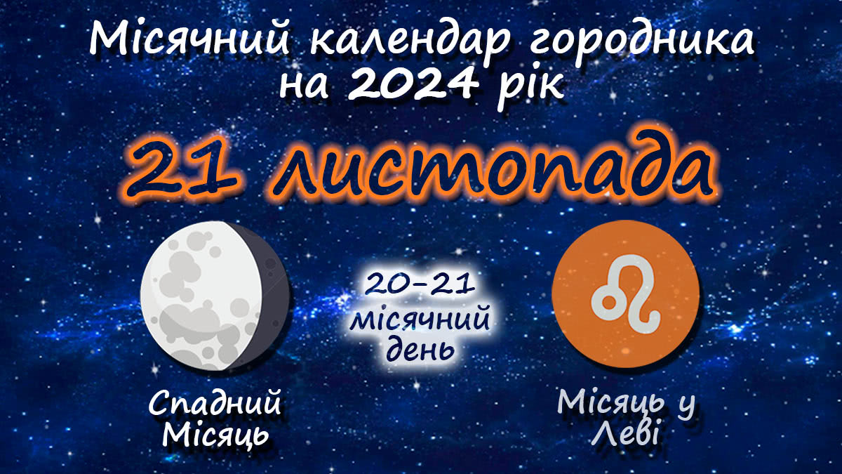 Місячний календар садівника-городника на 21 листопада 2024 року