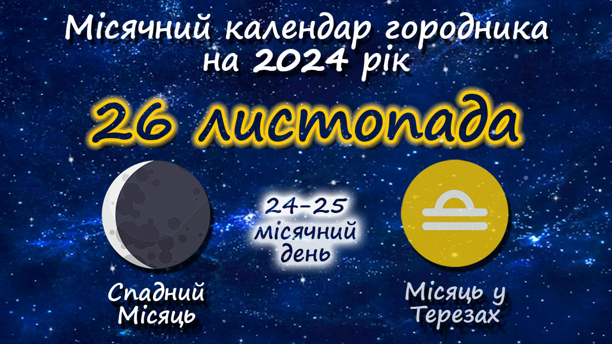 Місячний календар садівника-городника на 26 листопада 2024 року