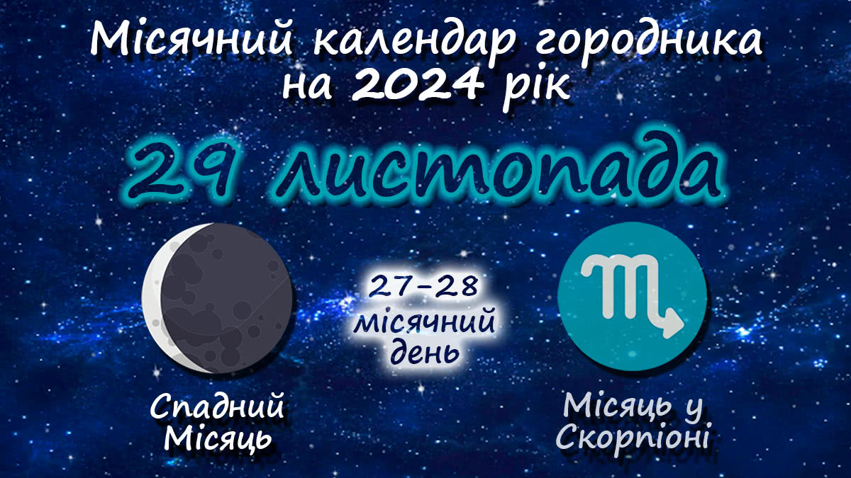 Місячний календар садівника-городника на 29 листопада 2024 року