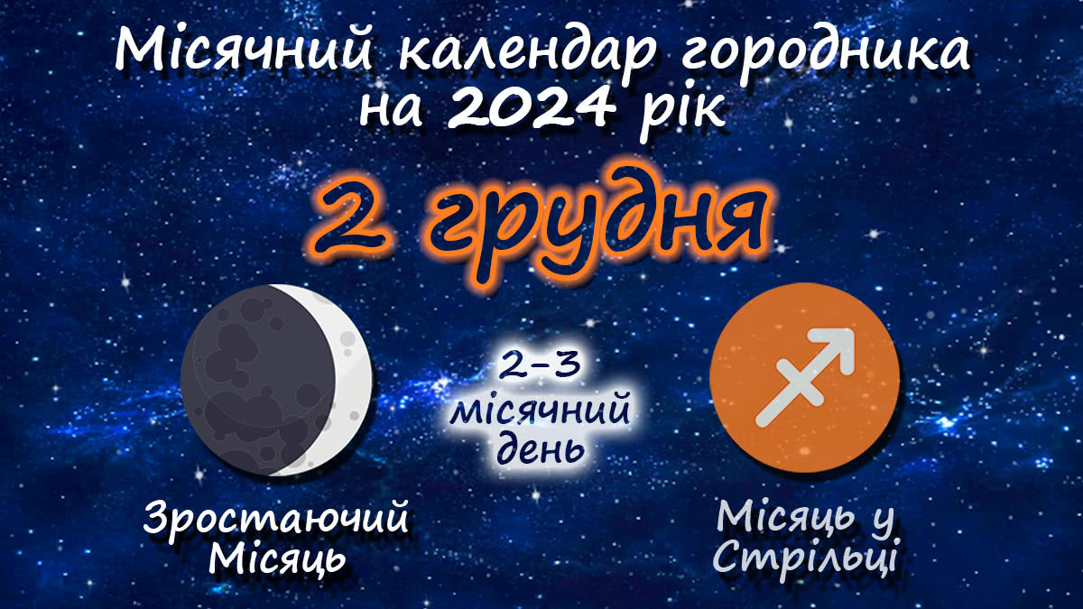 Місячний календар садівника-городника на 2 грудня 2024 року