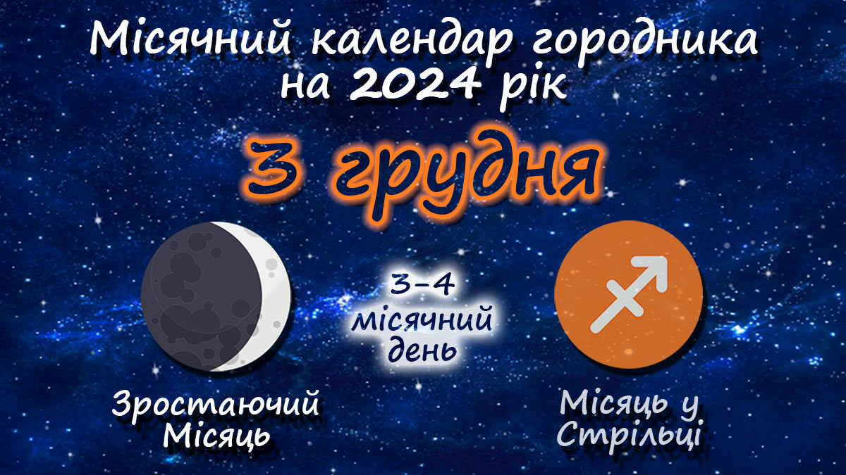 Місячний календар садівника-городника на 3 грудня 2024 року