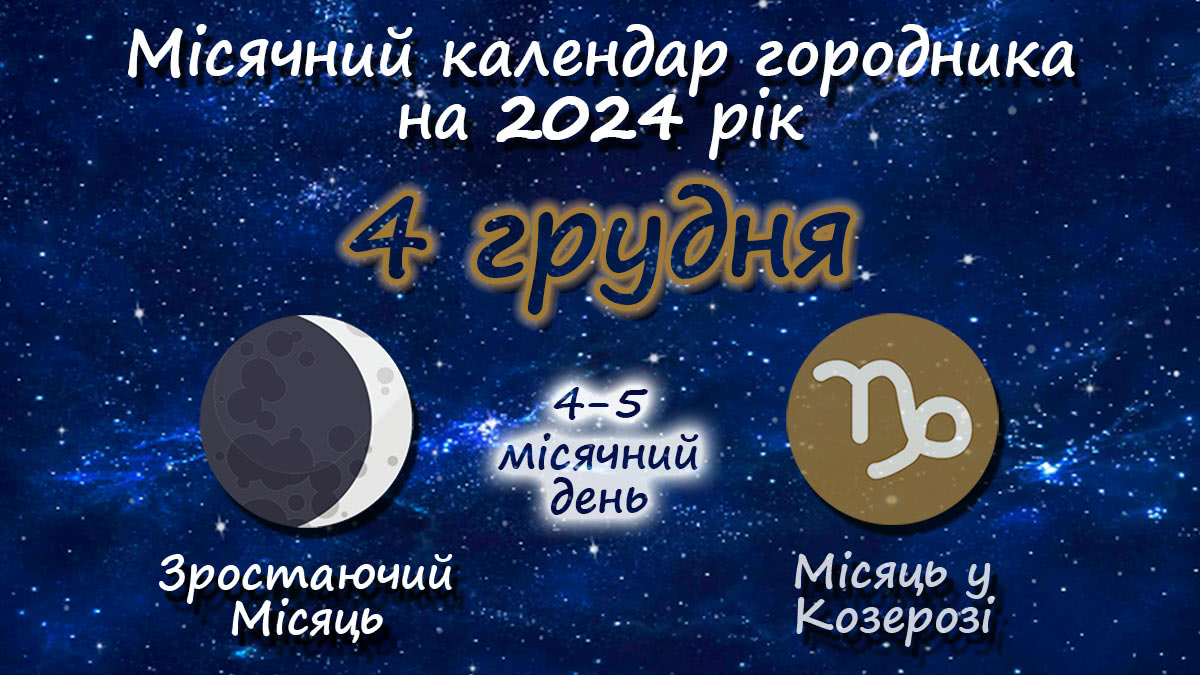 Місячний календар садівника-городника на 4 грудня 2024 року