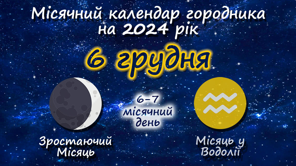 Місячний календар садівника-городника на 6 грудня 2024 року