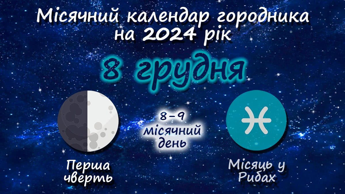 Місячний календар садівника-городника на 8 грудня 2024 року