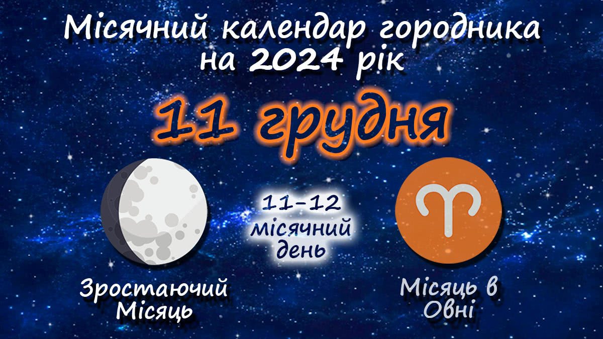 Місячний календар садівника-городника на 11 грудня 2024 року
