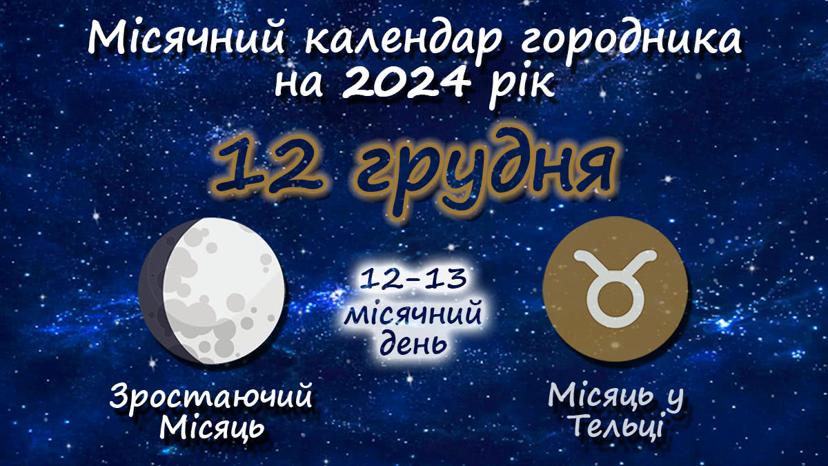 Місячний календар садівника-городника на 12 грудня 2024 року