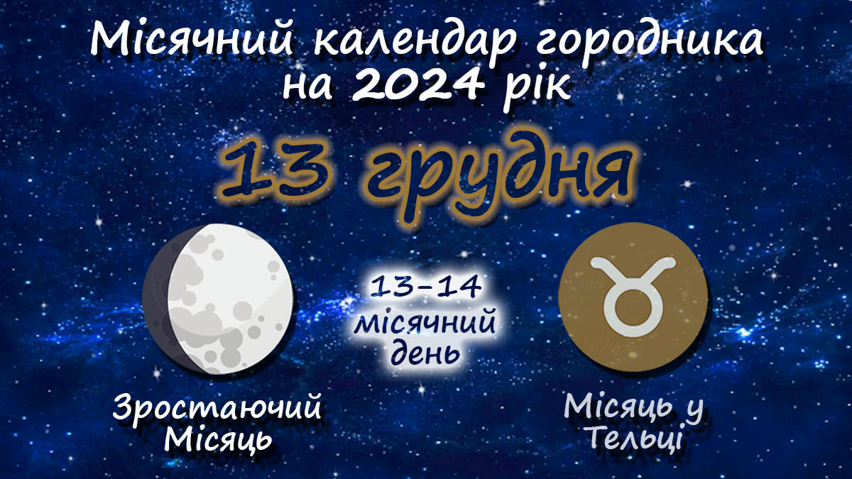 Місячний календар садівника-городника на 13 грудня 2024 року