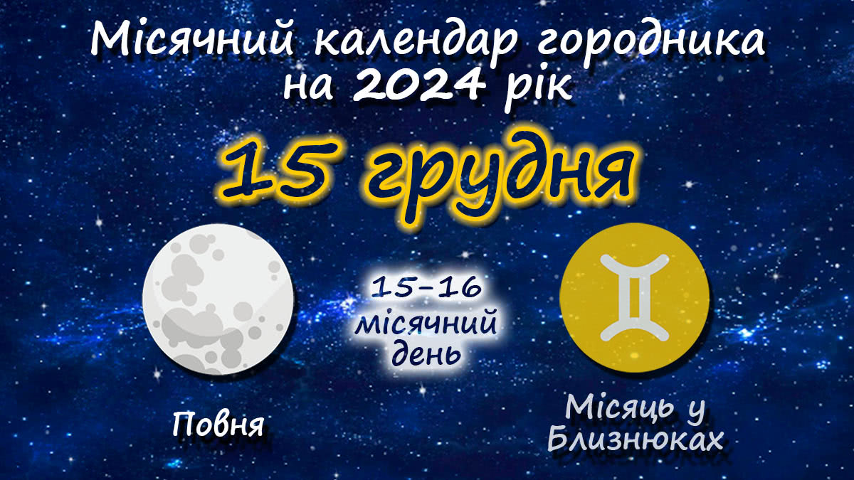 Місячний календар садівника-городника на 15 грудня 2024 року