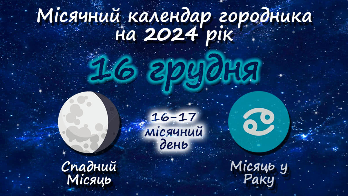 Місячний календар садівника-городника на 16 грудня 2024 року