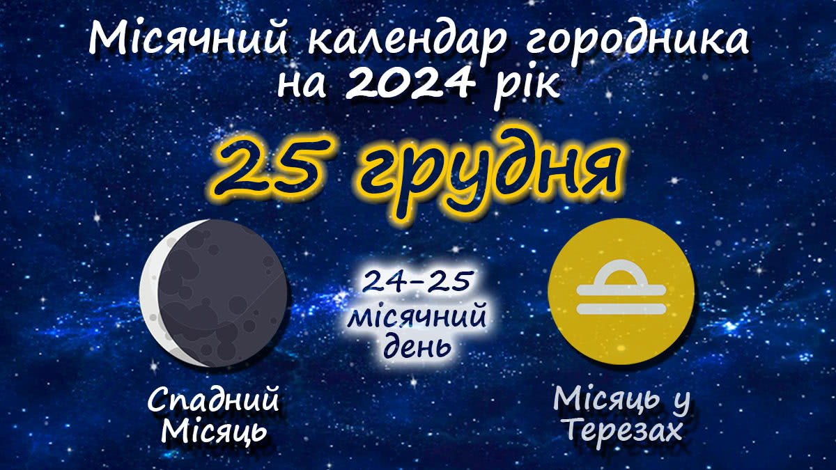 Місячний календар садівника-городника на 25 грудня 2024 року