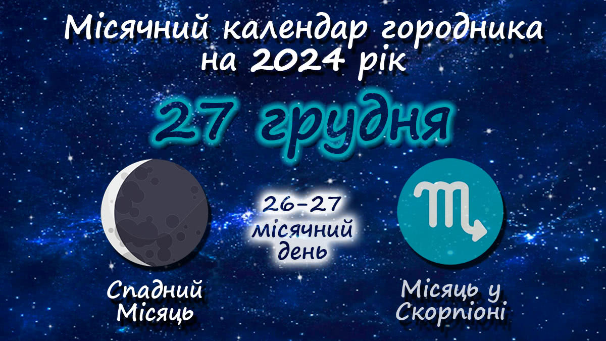 Місячний календар садівника-городника на 27 грудня 2024 року