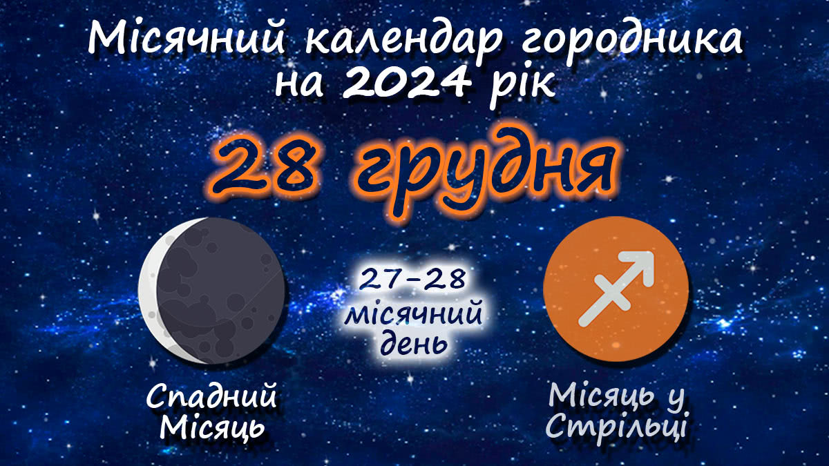 Місячний календар садівника-городника на 28 грудня 2024 року