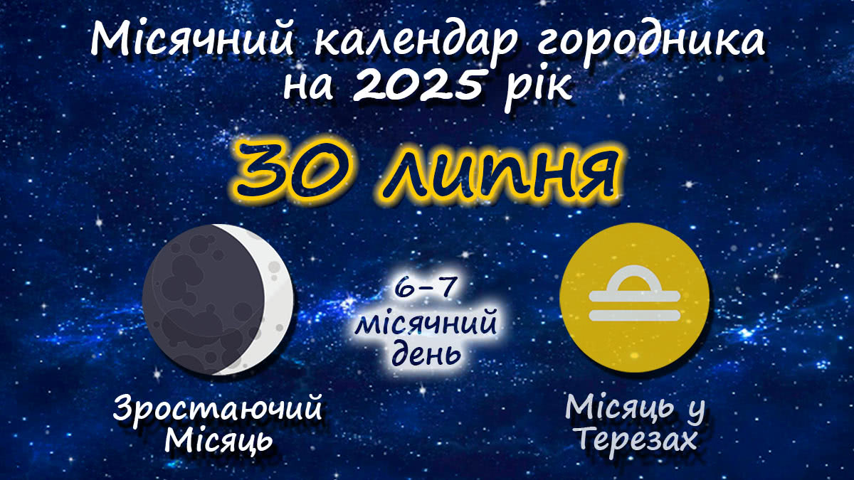 Місячний календар садівника-городника на 30 липня 2025 року