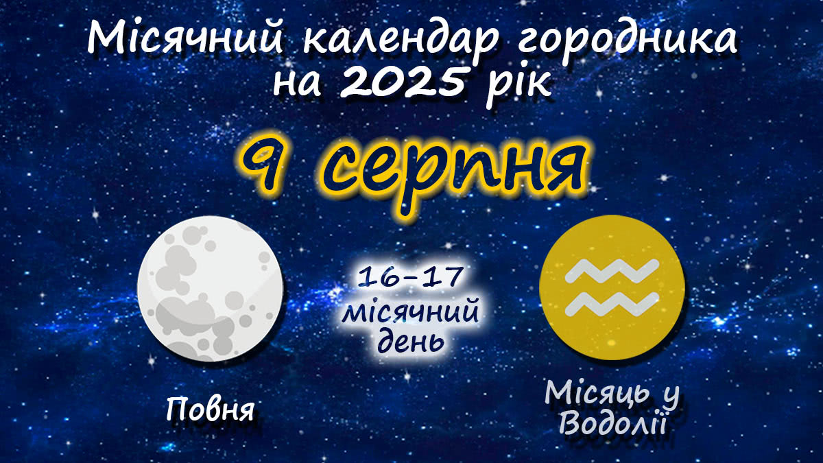 Місячний календар садівника-городника на 9 серпня 2025 року