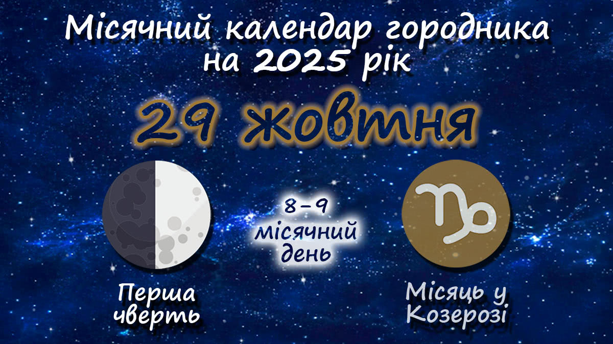 Місячний календар садівника-городника на 29 жовтня 2025 року