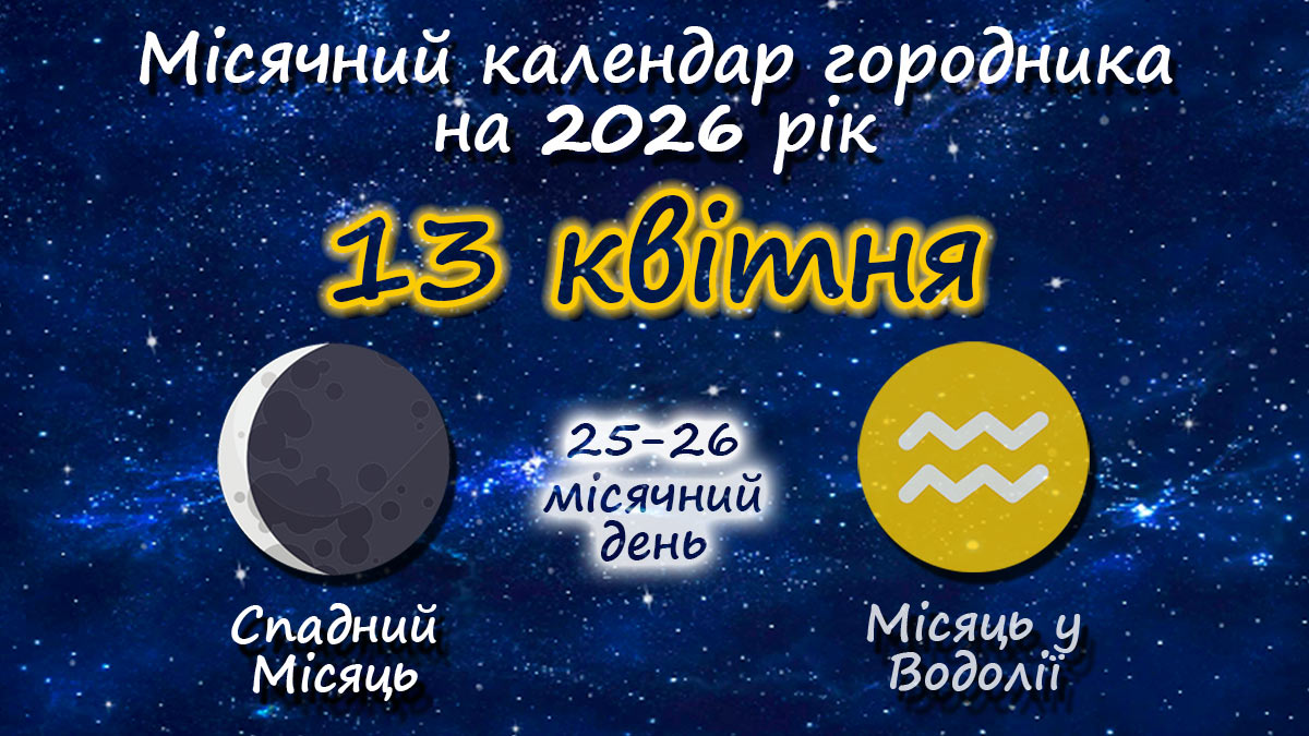 Місячний календар садівника-городника на 13 квітня 2026 року
