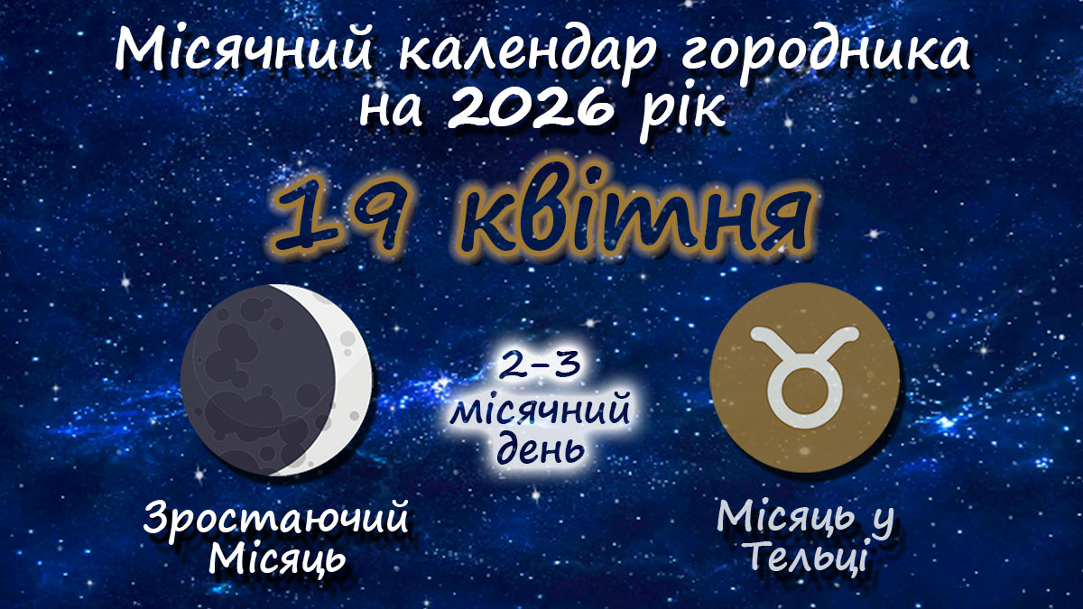 Місячний календар садівника-городника на 19 квітня 2026 року