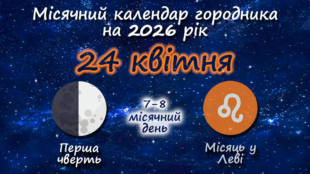 Місячний календар садівника-городника на 24 квітня 2026 року