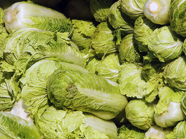 Pekinensis cabbage