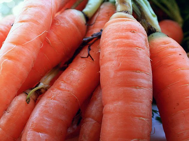 Vegetable carrot