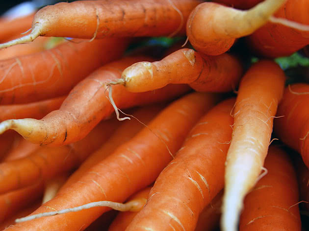 Growing carrots in the ground