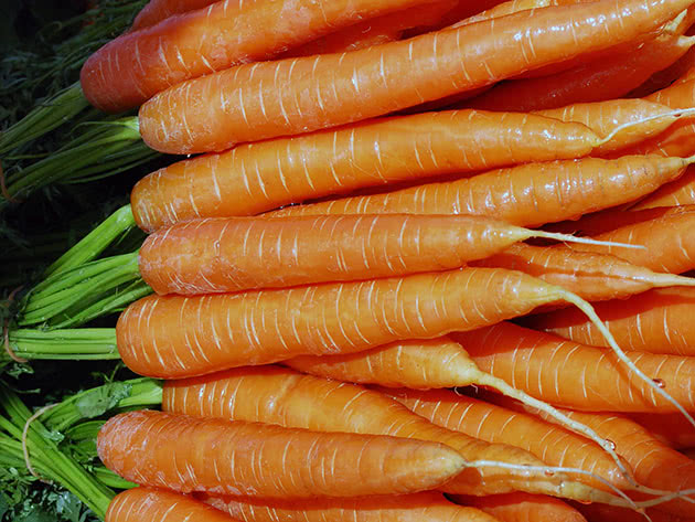 Как сажать и ухаживать за морковью